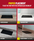 Proper placement of Heavy Duty Rat And Mouse Glue Traps 10 Pack Odorless Sticky Pest Control Pad indoors, shown in four locations.