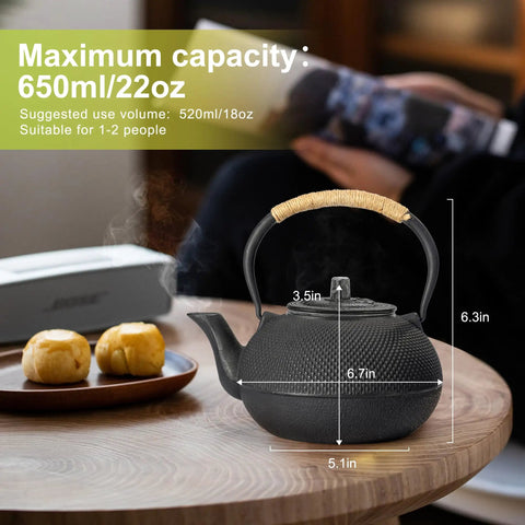 Japanese Tetsubin Cast Iron Teapot With Stainless Steel Infuser Stovetop Safe Enamel Interior 22 Ounce 650 Milliliter