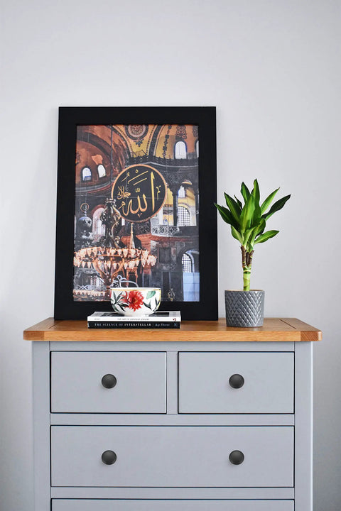 Decorative print on dresser with matte black knobs and plant next to books