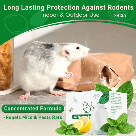 24 Pack Peppermint Oil Rodent Repellent Busts Mice Rats Spiders Roaches Squirrels Inside Out with a gray rat near a broken package.