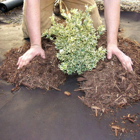 Workhorse Heavy-Duty 3 Oz Weed Control Fabric Ground Cover for Gardens and Landscaping, Brown, 3 x 100 Feet, in garden use