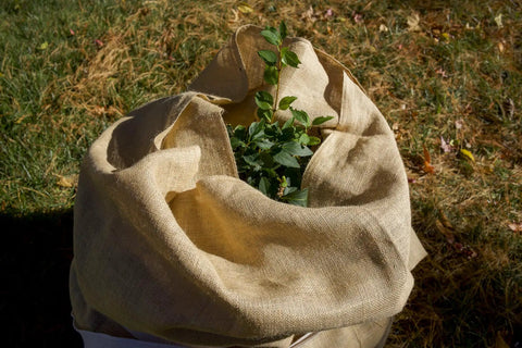 Heavy Duty Burlap Garden Fabric 12 Oz Odorless Food Grade For Weed Blocking And Erosion Control wrapped around a plant