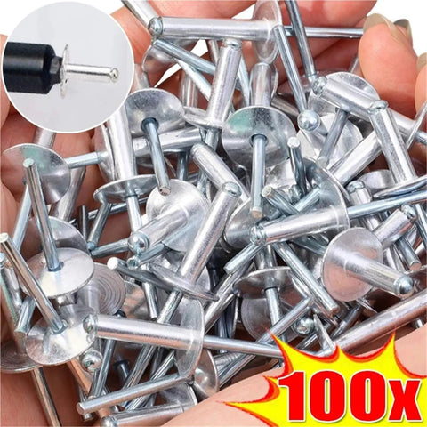 Close-up of Large Flange Aluminum Blind Rivet Assortment Kit with Pop Rivets Open End for ductwork, boats, garage, 100 pieces
