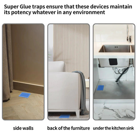 Heavy Duty Mouse And Insect Traps 12 Pack With Non Toxic Sticky Glue Sheets For Indoors and Badass Roach Rat Catcher placed by side walls, furniture, and kitchen sink.