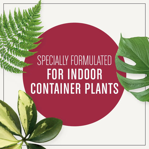 Top Shelf 4 Quart Indoor Plant Potting Mix Loaded With Fast Feeding Fertilizer Keeps Your Container Houseplants Poppin Without Any Drama While Fueling Bold New Leaves Through Spring And Summer with ferns and monstera leaves.