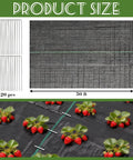 4 By 50 Ft Weed Barrier Landscape Fabric With 20 U Shaped Stakes Heavy Duty 3.2 Oz Ground Cover with strawberries on top