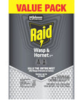 Straight Shooting Flying Insect Killer Spray For Wasps And Hornets With A Powerful Jet Stream Two 14 Oz Cans, pack design and spray information.