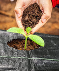 Person planting seedling in Tough As Nails Heavy Duty Garden Weed Barrier Fabric With Planting Holes 26 By 6.5 Feet