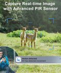No Fuss Off Grid 4G LTE Cellular Wireless Security Camera For Remote Cabins Ranches And Pastures Straight Synced To Your Phone Without Wi Fi Or Complicated Wiring Setup capturing deer in a field with motion alert.