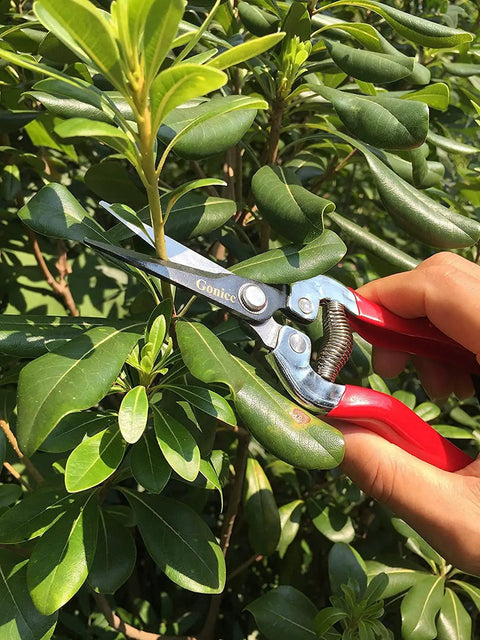 Micro-Tip Pruning Snip For Delicate Flower Arranging And Plant Trimming, lightweight hand pruner trimming green shrub branch