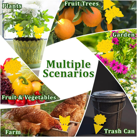 Ultra Thick Yellow Sticky Traps For Fruit Flies And Fungus Gnats With 48 Pack displayed in various garden and home scenarios.