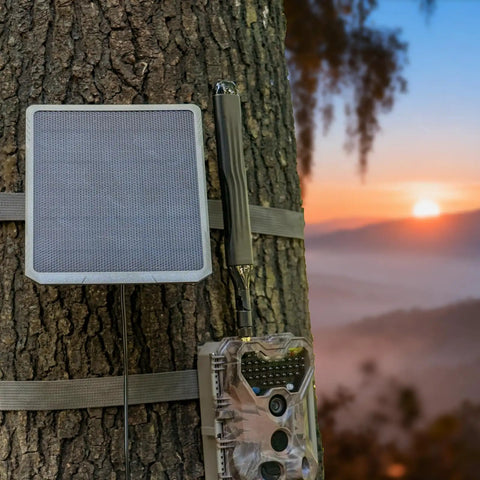 Keep Your Trail Cams Humming And Fully Loaded Year Round With This Versatile Multi Voltage Solar Charger mounted on a tree.