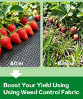 Built Tough 4Oz Nonwoven Geotextile Weed Barrier Fabric 3Ft By 100Ft Heavy Duty Landscape Ground Cover shown installed with strawberries