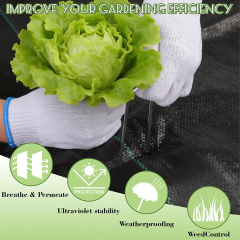 4 By 50 Ft Weed Barrier Landscape Fabric With 20 U Shaped Stakes installed with lettuce plant, features highlighted.