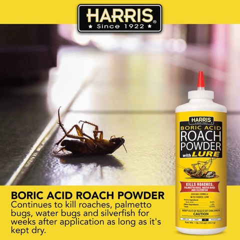Heavy Duty Boric Acid Roach And Silverfish Killer Dust With Irresistible Lure For Fast Acting Bug Nuking And Long Lasting Puffer Bottle Pest Control Kit 16 Oz on a floor next to a dead cockroach.