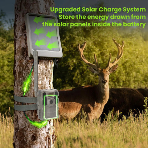 Game Ready Rechargeable Lithium Battery 5 Pack For Reveal Cellular Trail Cameras with upgraded solar charge system on tree.
