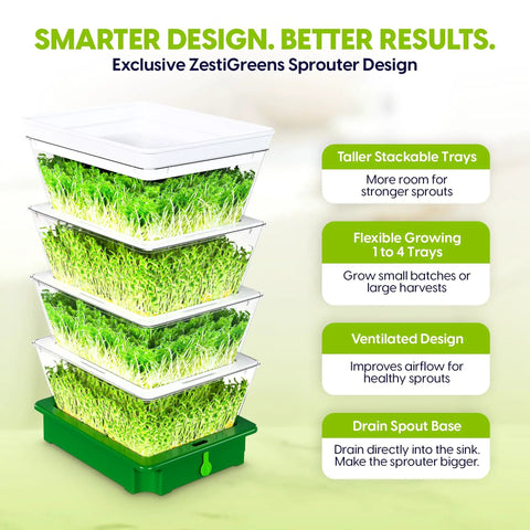 4 Tier Sprouting Kit With Stackable Trays And Drain Spout For Home Sprouts, transparent layers filled with green sprouts