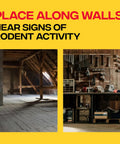 Place Top Tier Reusable Wooden Snap Mouse Traps 12 Pack in indoor spaces near signs of rodent activity.