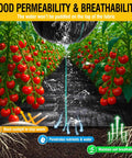 3ftx50ft Heavy Duty Weed Barrier Landscape Fabric for Gardens and Driveways used under tomato plants showing water permeability.