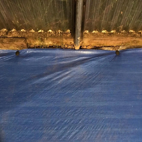 Blue tarp secured with 30 Pack 6 Inch Plastic Tarp Stakes Anchors For Garden Netting And Lawn Edging Tents And Weed Cover Beefy Heavy Duty Yard Stakes That Hold Tarps Down On Soft Ground in a garden