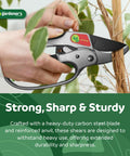 Ratcheting Pruning Shears For Garden Work With Assisted Action Beast Mode Cuts Heavy Duty Anvil Pruner cutting tree branch.