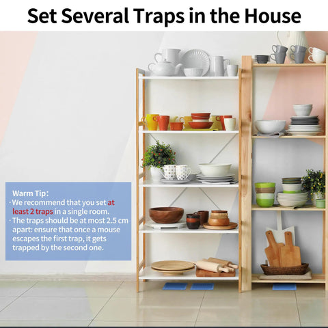 Set several Heavy Duty Mouse And Insect Traps 12 Pack With Non Toxic Sticky Glue Sheets For Indoors on shelves with dishes.