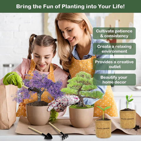 Complete Bonsai Tree Kit for Beginners, DIY Starter Set With 4 Exotic Species Jacaranda Flame Tree Japanese Black Pine and More shown with women and girl planting indoors.