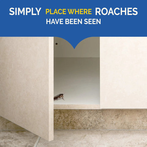 Fast Acting Liquid Roach Bait 6 Pack shown being placed in a cupboard to eliminate roaches effectively.