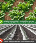 Biodegradable Paper Weed Barrier For Garden Beds Three 100 Foot Rolls shown in garden use preventing weeds