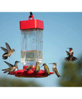 Premium Top Shelf Hummingbird Liquid Nectar Natural Clear Blend Backyard Wildlife Favorite No Sugar Added Daily Hydration Boost 64 Ounce Bottle with multiple hummingbirds feeding.