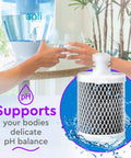 Alkaline Replacement Water Filter For Home Use, Easy Install And 200 Gallons Of Clean, Great Tasting Water, Raises pH To 9.0