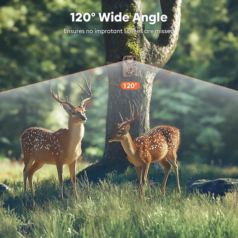 Two whitetail deer in grass showcasing 120° wide angle for OffTheGrid Solar Powered 4K Trail Camera With Wifi And 64MP Nightvision Motion Activated Game Cam Waterproof Ip66 Snappy PointTwo Second Trigger For Hunting.