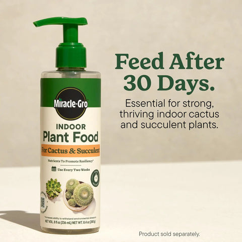 Miracle-Gro Indoor Plant Food for Cactus and Succulent, 8.4 oz bottle, essential for indoor plant health.