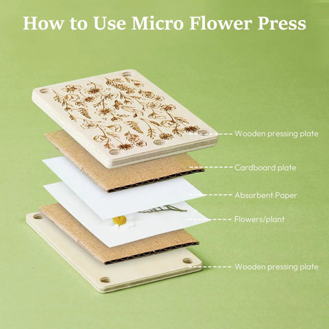 Mini Flower Press Kit for Small Blooms and Leaves showing wooden pressing plates, cardboard, and absorbent paper layers.