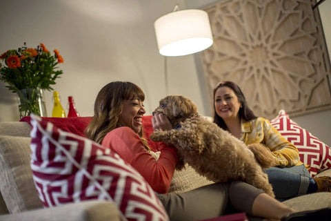 Two women relaxing on a couch with a small dog, under ambient light from Pro Series A19 75W Equivalent LED Bulbs 1100 Lumens Daylight.