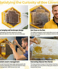 Observation Beehive Starter Kit With 3 Frames And 6 Reusable Honeycomb Trays, wall-mounted acrylic window, medium size, indoor use.