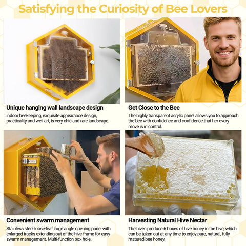 Observation Beehive Starter Kit With 3 Frames And 6 Reusable Honeycomb Trays, wall-mounted acrylic window, medium size, indoor use.