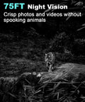 Professional 36 Mega Pixel Trail Camera Rendering Crisp 2 Point 7K Video With Hella Sensitive Motion Sensors And Slick Infrared Night Vision Waterproof Wildlife Game Camera Featuring Lightning Fast Zero Point One Second Trigger For Outdoor Hunting showing tiger in low light.