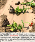 Heavy Duty Biodegradable Paper Weed Barrier 4 X 100 Ft Landscape Fabric Rolls installed in garden bed with seedlings