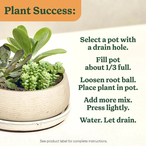 Top Shelf Indoor Potting Mix For Cactus And Succulents Featuring Sweet Roots Development with a succulent arrangement in a pot.