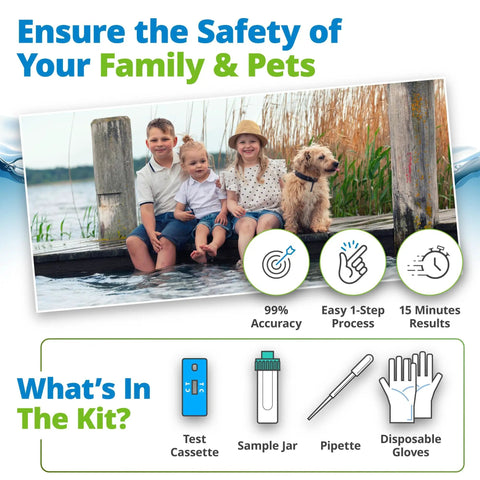 Blue Green Algae And Cyanobacteria Test Kit For Backyard Ponds Delivers No Sweat Application Plus Straight Shooter Accuracy with kids and dog near water.