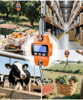 Rock Solid Heavy Duty Digital Hanging Scale Premium Aluminum Crane Gauge 660 Lb Capacity in use weighing produce and livestock.