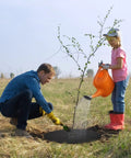 30 Pieces Weed Barrier Rings Non Woven Tree Mulch Protectors Black Thickened Landscape Fabric Round Garden Covers in use around tree