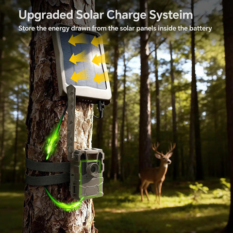 Straight Swap Premium Quality High Capacity Replacement Rechargeable Lithium Battery Pack With Four Port Independent Charger For Trail Cameras No Sweat Tracker Gear connected to solar charger on tree.