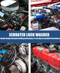 Heavy Duty Push On Lock Washers Set Internal Tooth Serrated Stainless Steel Quick Locking Washers Assortment Kit in engine compartments