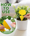 Hands placing Ultra Thick Yellow Sticky Traps For Fruit Flies And Fungus Gnats With 48 Pack in potted plant.