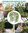 7.5 Foot Metal Garden Arch Trellis Arbor With Netting in garden with tomatoes, melons, and eggplants, outdoor setting
