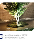 Side-by-side comparison of 2700K warm and 3000K warm white lighting on a tree using 12V LED Landscape Accent Light With Adjustable Beam And Dimmable Brightness Built To Last Small Brass Bronze Coated Housing 50 To 420 Lumens 2700K Warm Tone Coast Ready For Harsh Environments