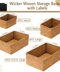 Top Shelf Seagrass Basket Set Features Six Dang Good Pantry Organizers With Snazzy Pre Printed Labels For A Spotless Home Makeover Across Closets Counters And Mudrooms Anywhere. Wicker woven storage baskets in various sizes labeled.