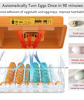 Automatic Egg Incubator For Hatching Eggs With Humidity Control And Auto Egg Turning 36 Egg Capacity For Chicken Quail Duck